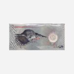 Maledives Set 5-1000 Rufiya Unc